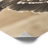 Poster Flying Eagle Print (Hoek)