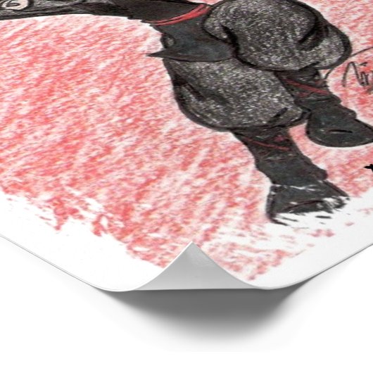 Poster Flying Ninja (Hoek)