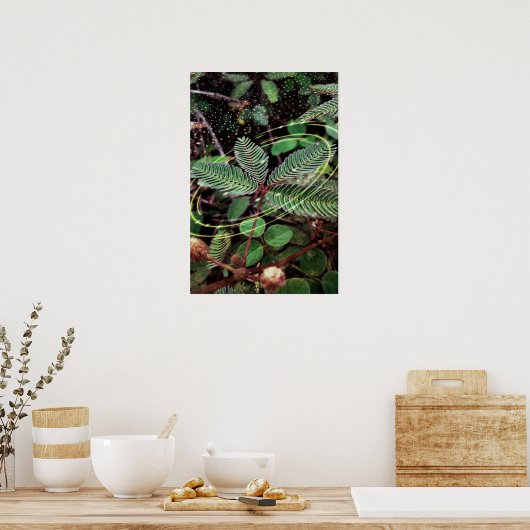 Poster Folhas (Keuken)