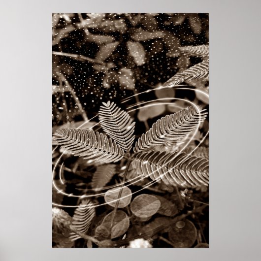 Poster Folhas - Green (Voorkant)