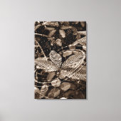 Poster Folhas - Green Canvas Afdruk (Voorkant)