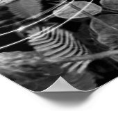 Poster Folhas - P&B (Hoek)