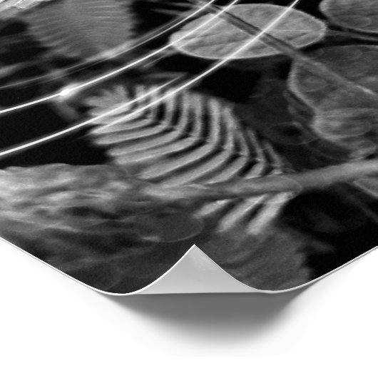 Poster Folhas - P&B (Hoek)