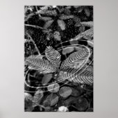 Poster Folhas - P&B (Voorkant)