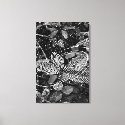 Poster Folhas - P&B Canvas Afdruk (Voorkant)