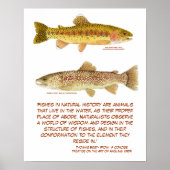 Poster forel (Voorkant)
