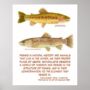 Poster forel