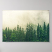 Poster Forest (Voorkant)