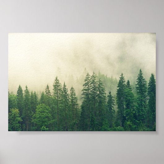 poster Forest, groot bos (Voorkant)