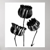 Poster- Fotografie-Karl Blossfeldt 23 Poster (Voorkant)