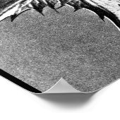 Poster- Fotografie-Karl Blossfeldt 27 Poster (Hoek)