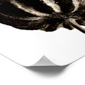 Poster- fotografie-Karl Blossfeldt 38 Poster (Hoek)