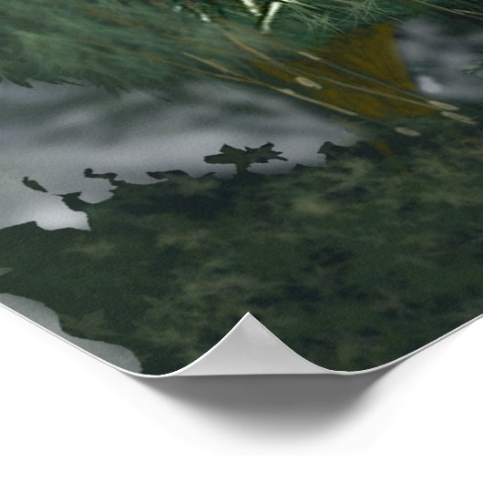 Poster - Fox aan de rivier (Hoek)