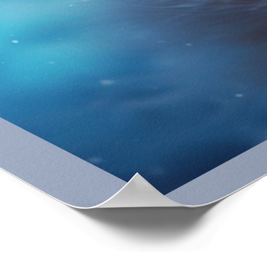 Poster Fox of the Mysterious Forest (Hoek)