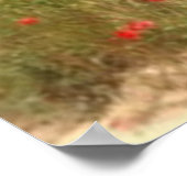 Poster Franse papavers (Hoek)