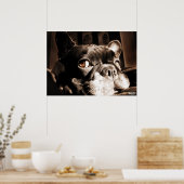 Poster Französischer Bulldogge by Bullylicious (Keuken)