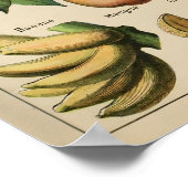 Poster Fruta Adolphe Millot Le Larousse Pour Tous (Hoek)