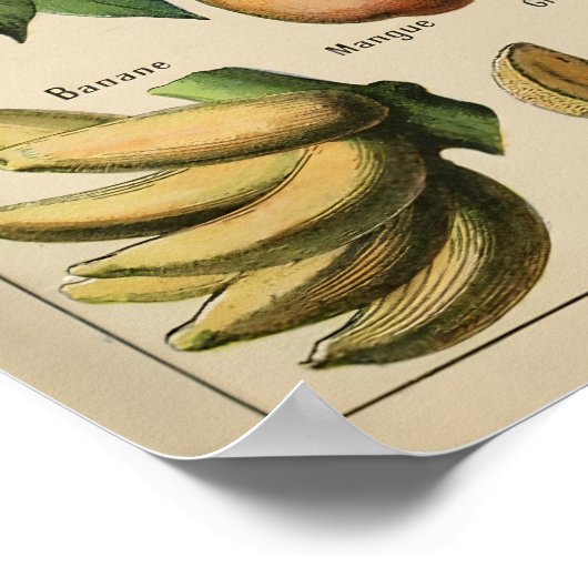 Poster Fruta Adolphe Millot Le Larousse Pour Tous (Hoek)