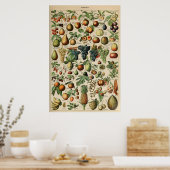 Poster Fruta Adolphe Millot Le Larousse Pour Tous (Keuken)