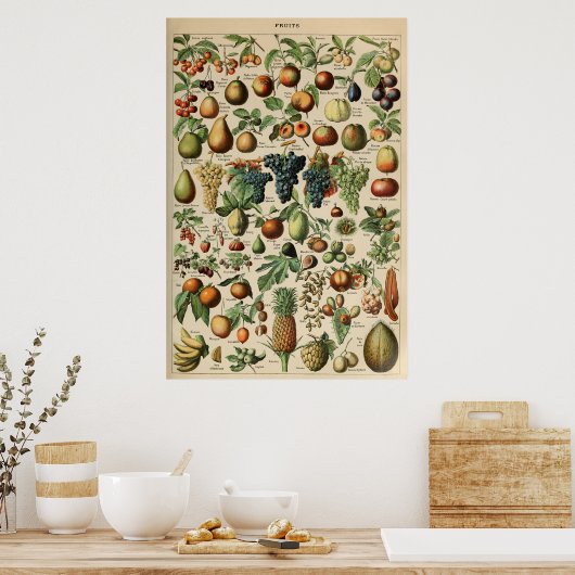 Poster Fruta Adolphe Millot Le Larousse Pour Tous (Keuken)