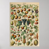 Poster Fruta Adolphe Millot Le Larousse Pour Tous (Voorkant)