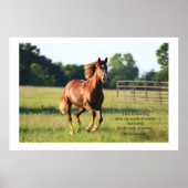 Poster Galloping Horse Print (Voorkant)