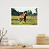 Poster Galloping Horse Print (Keuken)
