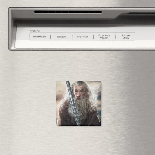 Poster Gandalf Character 2 Magneet (Insitu (Vaatwasser))