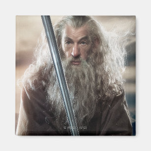 Poster Gandalf Character 2 Magneet