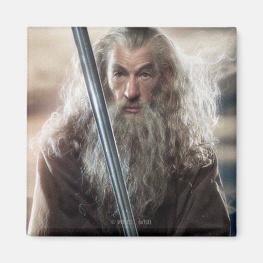 Poster Gandalf Character 2 Magneet (Voorkant)
