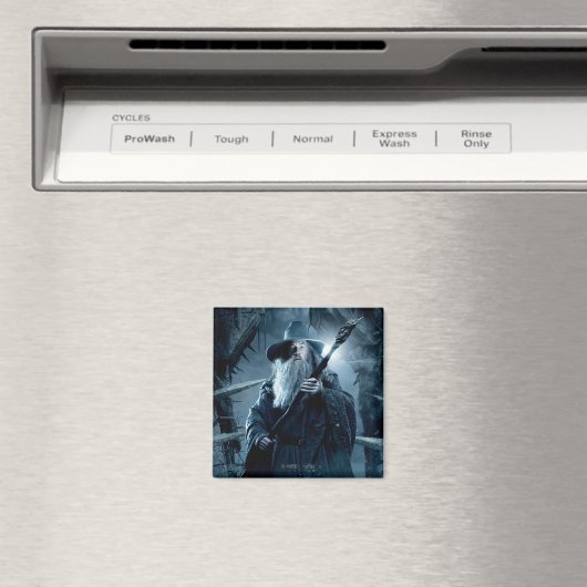 Poster Gandalf Character 3 Magneet (Insitu (Vaatwasser))