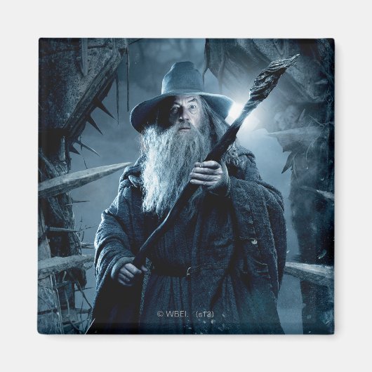 Poster Gandalf Character 3 Magneet (Voorkant)
