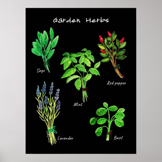 POSTER GARDEN HERBS (Voorkant)