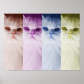 Póster gato de colores poster (Voorkant)