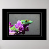 Poster Gecko (Voorkant)