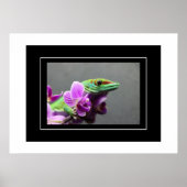 Poster Gecko (Voorkant)