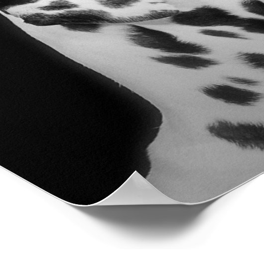 Poster gedateerd (Hoek)