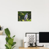 Poster Geelkruinreiger (Thuiskantoor)