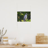 Poster Geelkruinreiger (Keuken)