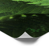 Poster gekindde gedistilleerde dranken (Hoek)