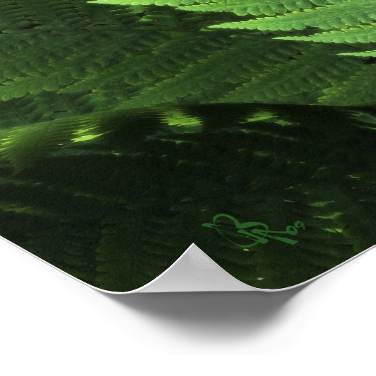 Poster gekindde gedistilleerde dranken (Hoek)