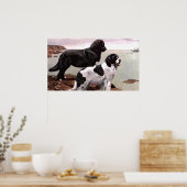 Poster gekleurd Newfoundland (Keuken)