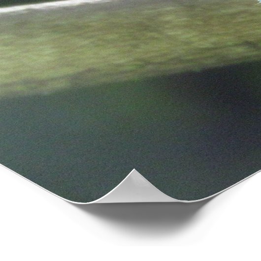 Poster - Gele Breste Sparrow op Tak (Hoek)