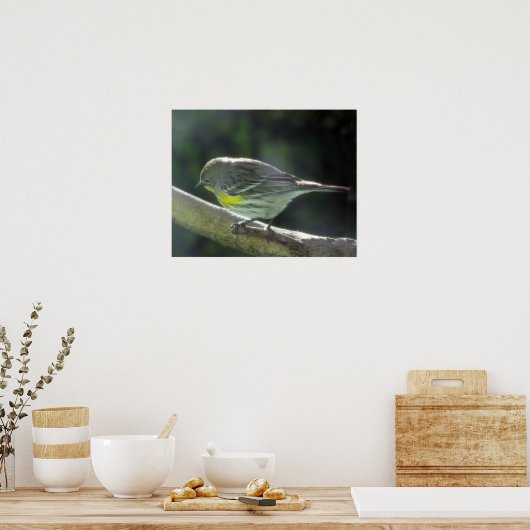 Poster - Gele Breste Sparrow op Tak (Keuken)