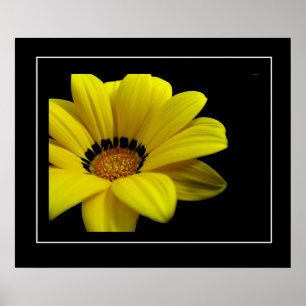 Poster-gele Daisy Poster