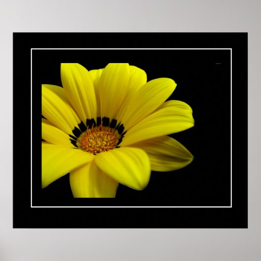 Poster-gele Daisy Poster (Voorkant)