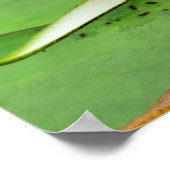 Poster gele en lavender Water Lily Print (Hoek)