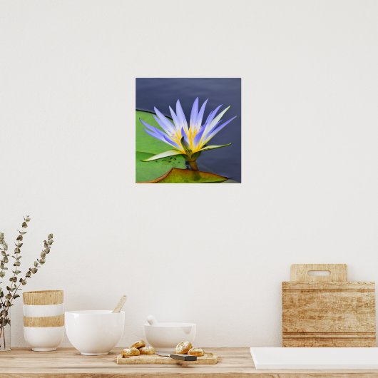 Poster gele en lavender Water Lily Print (Keuken)