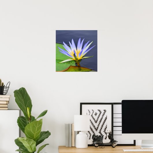 Poster gele en lavender Water Lily Print (Thuiskantoor)