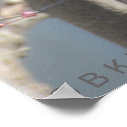 Poster - Gele vink in Cherry tree (Hoek)